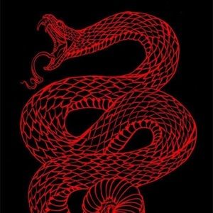 Meet your Posher, Lola